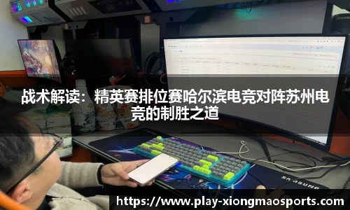 熊猫体育官网