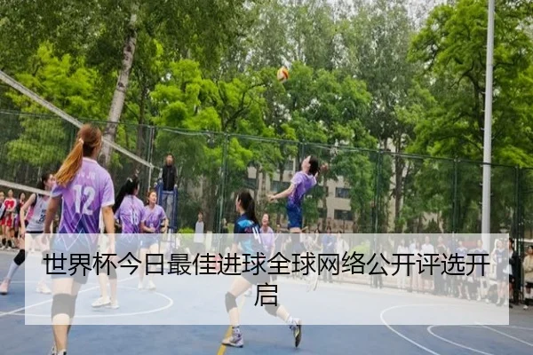 shi-jie-bei-jin-ri-zui-jia-jin-qiu-quan-qiu-wang-luo-gong-kai-ping-xuan-kai-qi-2-153.jpg